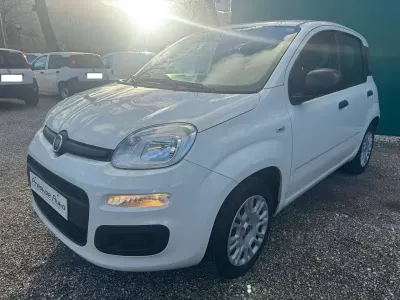 Usata Fiat Panda Easy 69 CV (50 kW) 2020 Bianco Utilitaria