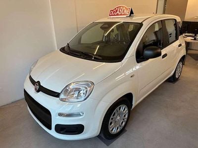 Nuova Fiat Panda Icon 69 CV (50 kW) 2025 Bianco Berlina
