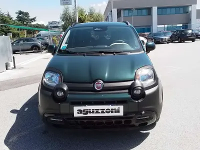 Usata Fiat Panda Cross Cross 69 CV (50 kW) 2025 Verde Utilitaria