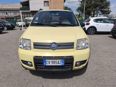 Usata Fiat Panda 4x4 Climbing 60 CV (44 kW) 2005 Giallo Utilitaria