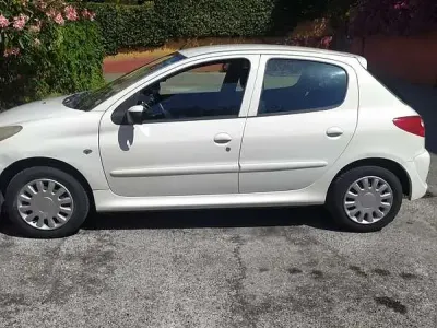 Usata Peugeot 206
