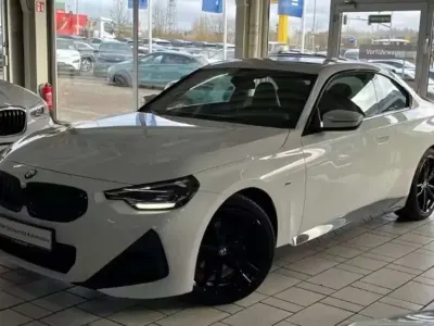 Usata BMW 220