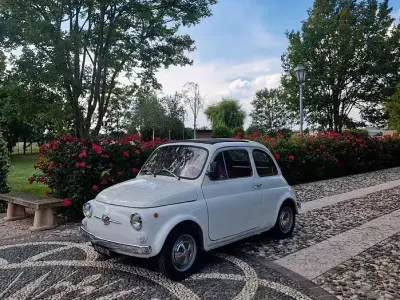 Usata Fiat 500 1960 Bianco Utilitaria
