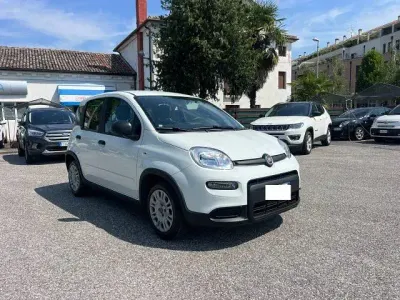 Usata Fiat Panda S 69 CV (50 kW) 2023 Bianco Utilitaria
