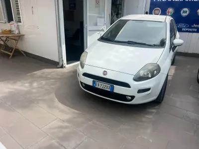 Usata Fiat Punto Lounge 85 CV (62 kW) 2014 Bianco Utilitaria