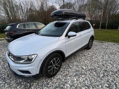 usata VW Tiguan 1.6 tdi Business 115cv