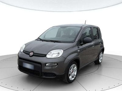 Usata Fiat Panda S 70 CV (51 kW) 2023 Grigio scuro metall. Utilitaria