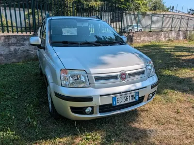 Usata Fiat Panda Dynamic 69 CV (50 kW) 2010 Grigio Utilitaria