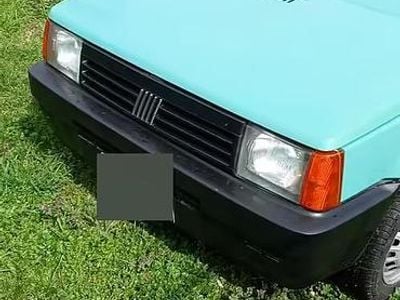 Usata Fiat Panda 54 CV (39 kW) 2003 Verde Utilitaria