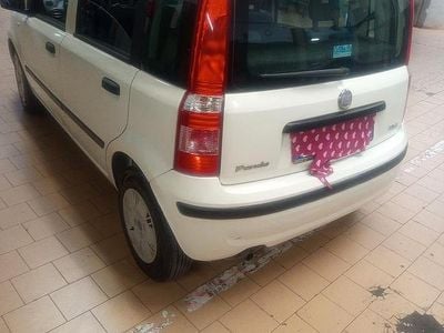 Usata Fiat Panda Dynamic 60 CV (44 kW) 2009 Bianco Utilitaria
