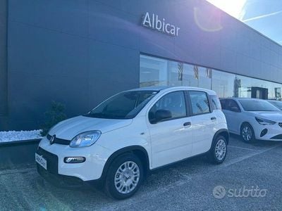 Begagnad Fiat Panda S 69 HK (50 kW) 2024 Vit Halvkombi