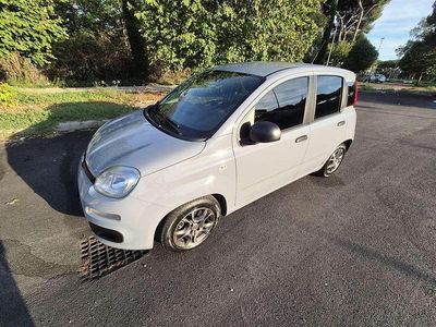 Usata Fiat Panda Red 69 CV (50 kW) 2022 Utilitaria