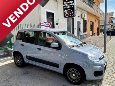 Usata Fiat Panda Lounge 69 CV (50 kW) 2020 Grigio Utilitaria