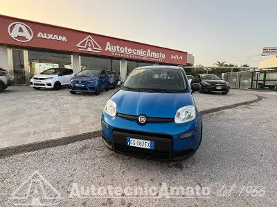 Usata Fiat Panda
