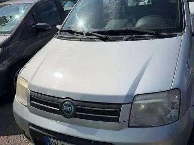 Usata Fiat Panda 4x4