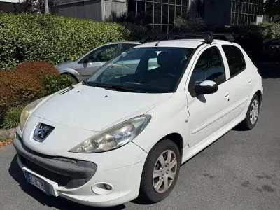 Usata Peugeot 206