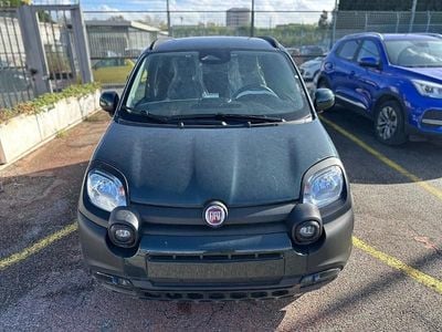Usata Fiat Panda Cross 65 CV (47 kW) 2025 Verde Berlina