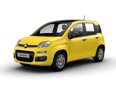 Usata Fiat Panda S 69 CV (50 kW) 2024 Giallo Utilitaria