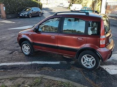 Usata Fiat Panda 4x4 2006 Utilitaria