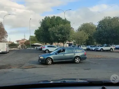 Usata Skoda Octavia