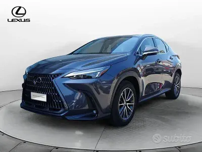 Usata Lexus NX350h Business Edition 190 CV (139 kW) 2023 Grigio SUV