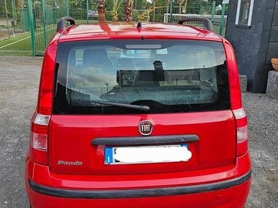 Usata Fiat Panda Dynamic 60 CV (44 kW) 2008 Rosso Utilitaria