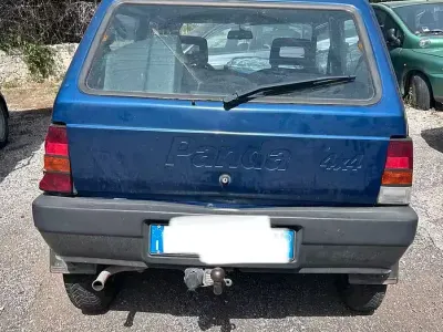 Usata Fiat Panda 4x4