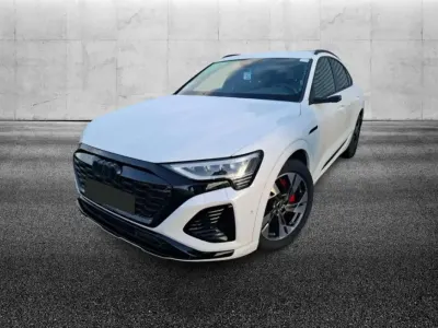 Usata Audi Q8 e-tron
