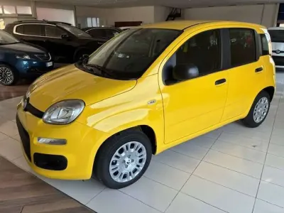 Usata Fiat Panda