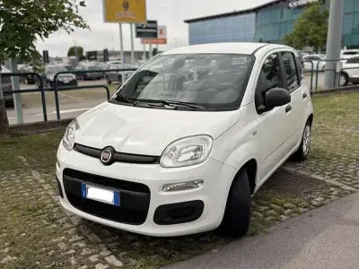 Usata Fiat Panda Easy 69 CV (50 kW) 2016 Utilitaria