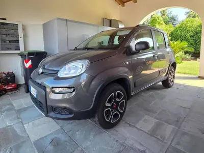 Usata Fiat Panda 4x4 Wild 86 CV (63 kW) 2021 Utilitaria