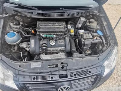 usata VW Polo 1.4/80CV 16V 5p. Comfort. BiFuel G