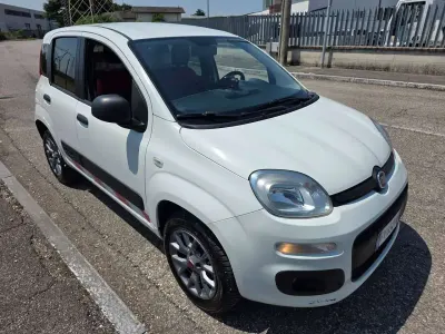 Usata Fiat Panda 4x4