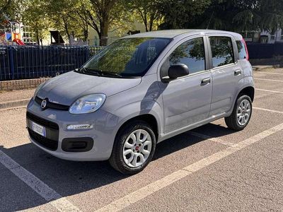 Occasion Fiat Panda Easy 80 ch (58 kW) 2018 Citadine