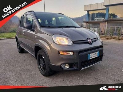 Grigio Usata 2021 Fiat Panda 4x4 Wild Utilitaria | 13.500 € (Buon prezzo)
