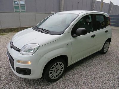 Usata Fiat Panda Easy 69 CV (50 kW) 2019 Bianco Utilitaria