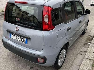 Usata Fiat Panda Pop 69 CV (50 kW) 2019 Grigio Utilitaria