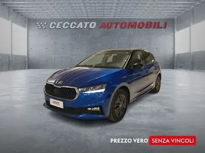 Usata Skoda Fabia
