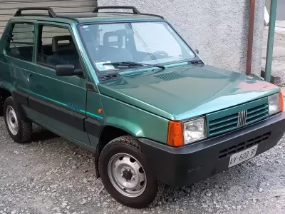 Usata Fiat Panda 4x4