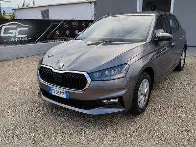 Usata Skoda Fabia