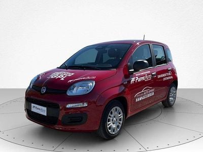 Usata Fiat Panda 69 CV (50 kW) 2025 Rosso passione pastello Utilitaria