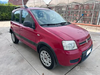 Usata Fiat Panda 60 CV (44 kW) 2009 Rosso Utilitaria