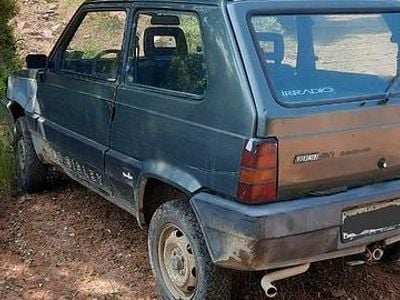 Usata Fiat Panda 4x4 1988 Verde Utilitaria
