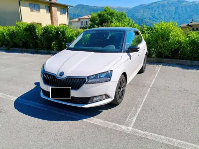 Usata Skoda Fabia