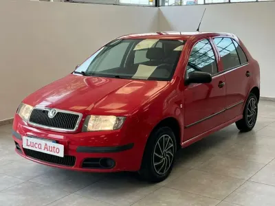 Usata Skoda Fabia
