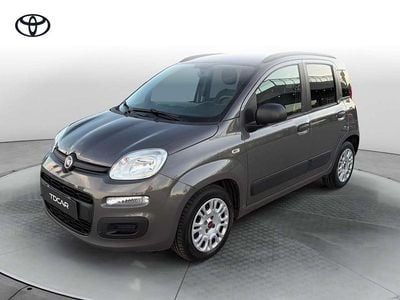 Usata Fiat Panda S 70 CV (51 kW) 2021 Grigio Utilitaria