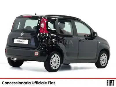 Usata Fiat Panda Lounge 69 CV (50 kW) 2014 Nero Utilitaria
