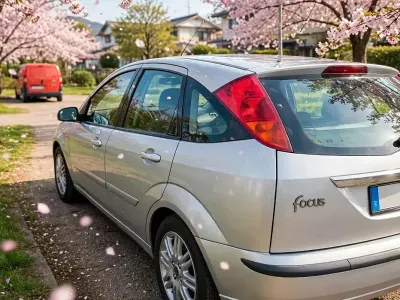 Usata Ford Focus 54 CV (39 kW) 2004 Grigio Berlina