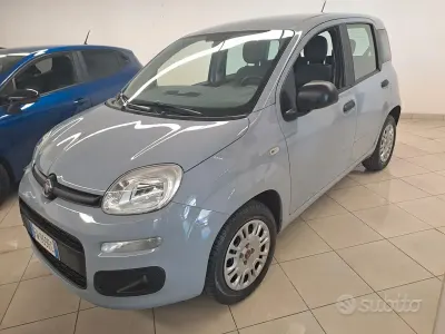 Usata Fiat Panda Easy 69 CV (50 kW) 2019 Grigio Utilitaria