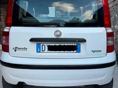 Usata Fiat Panda 77 CV (56 kW) 2009 Bianco Utilitaria